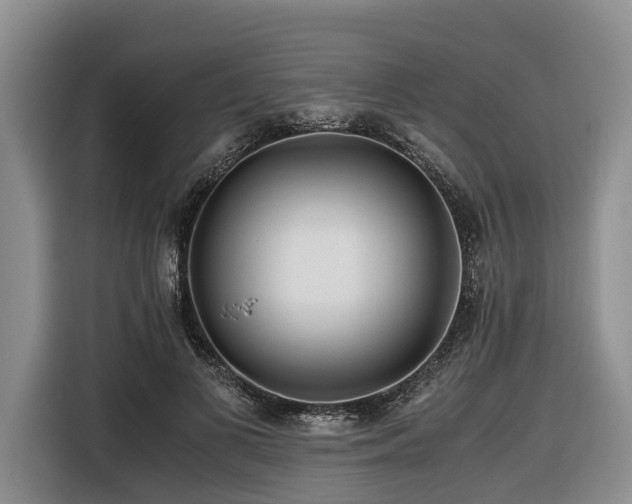 X0000116640693200912141236