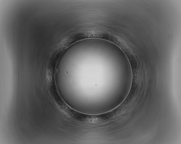 X0000116640695200912141236