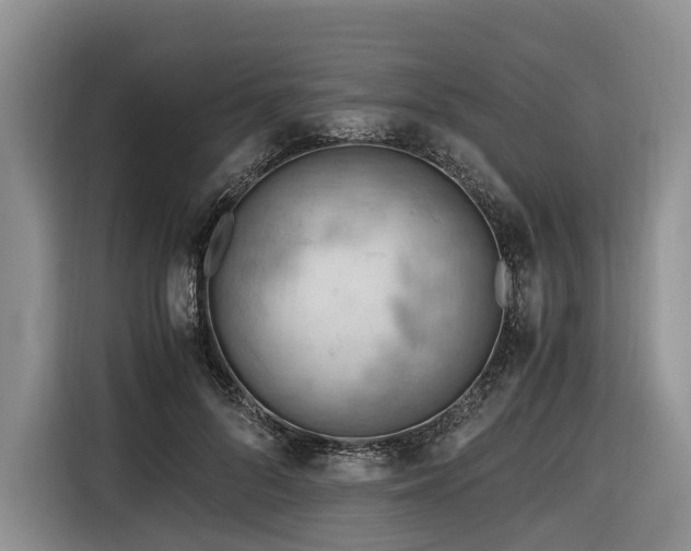 X0000116640696200912141236