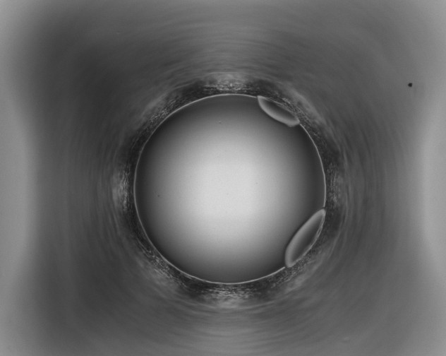 X0000116640697200912141235