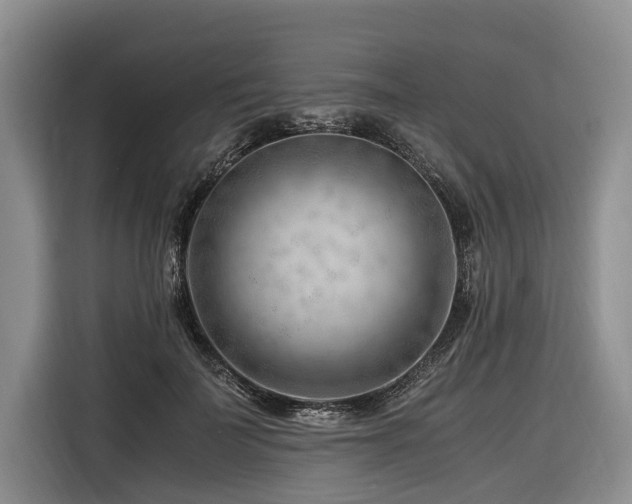 X0000116640699200912141235