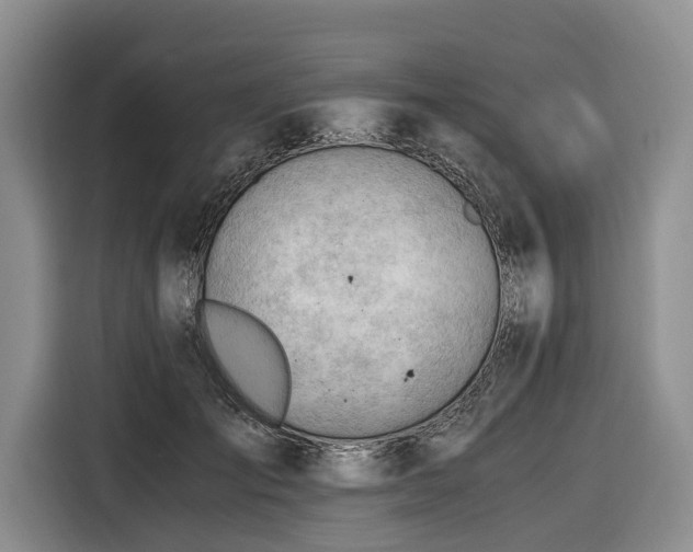 X0000116640701200912141235