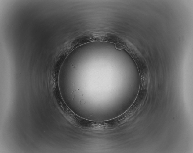 X0000116640703200912141235