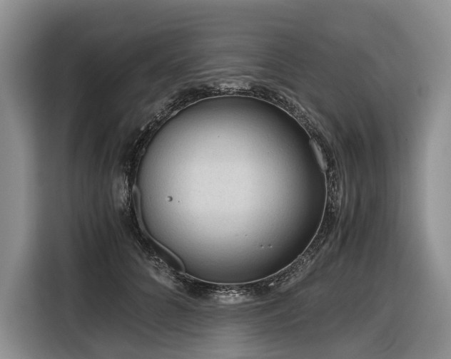 X0000116640704200912141235