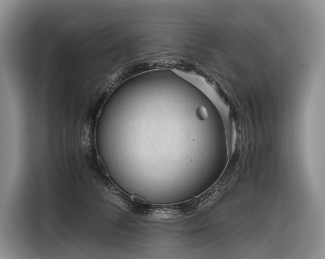 X0000116640708200912141235