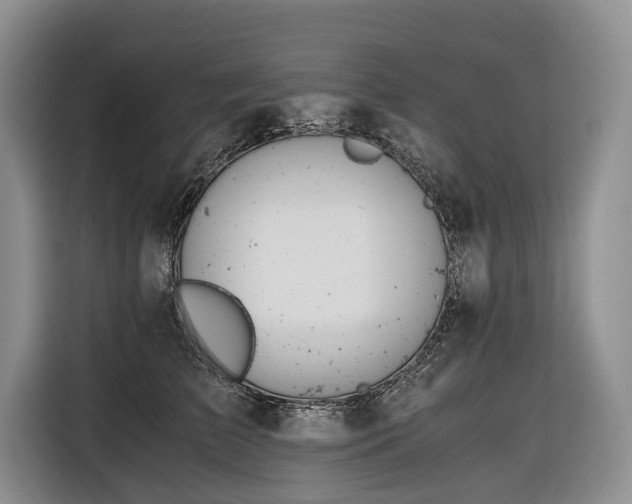 X0000116640709200912141235