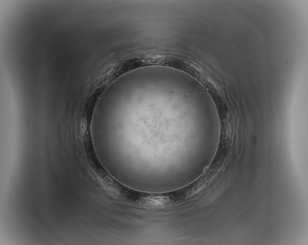 X0000116640711200912141235