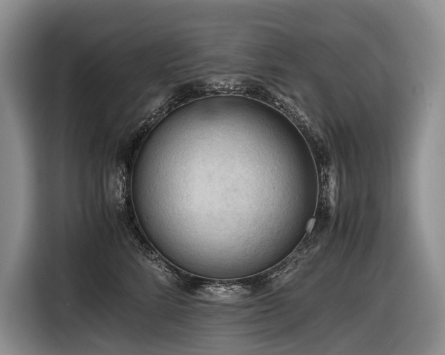 X0000116640712200912141235