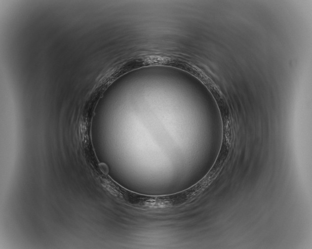 X0000116640714200912141235