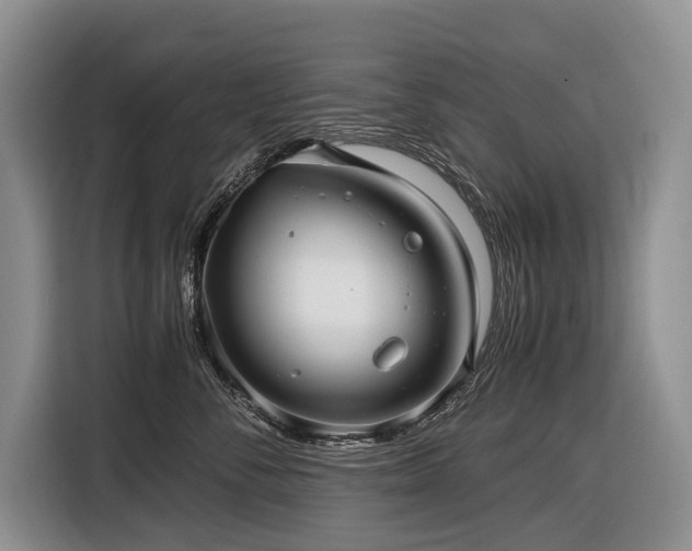 X0000116640716200912141235