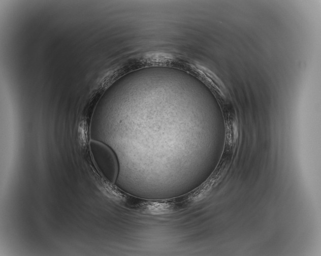 X0000116640718200912141235