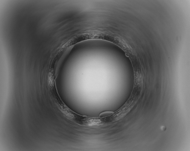 X0000116640719200912141235