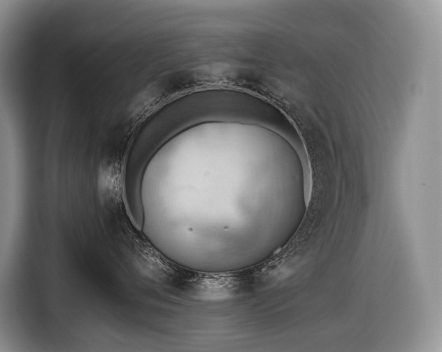 X0000116640720200912141235