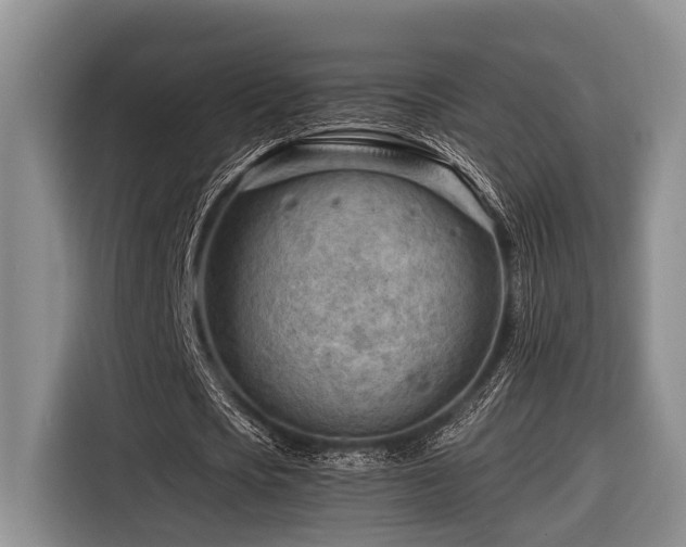 X0000116640721200912141235