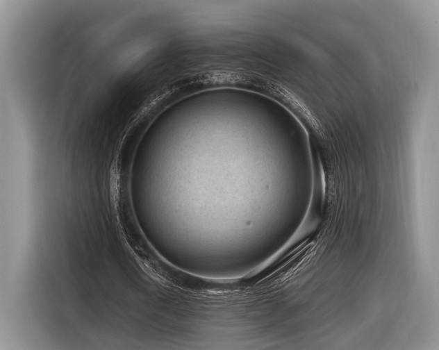 X0000116640722200912141235