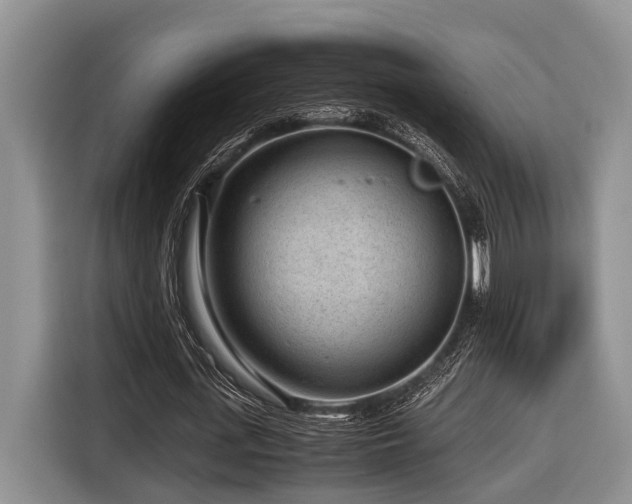 X0000116640723200912141235