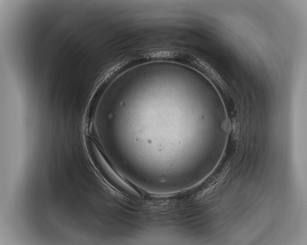 X0000116640725200912141235