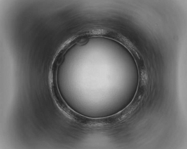 X0000116640726200912141235