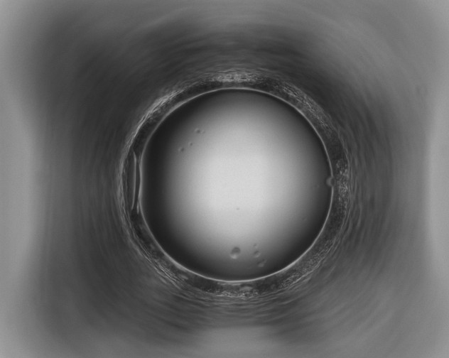 X0000116640727200912141235