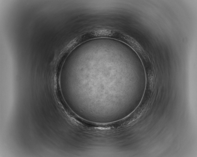 X0000116640729200912141235