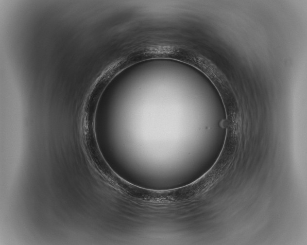 X0000116640731200912141235