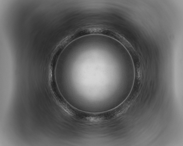 X0000116640733200912141235