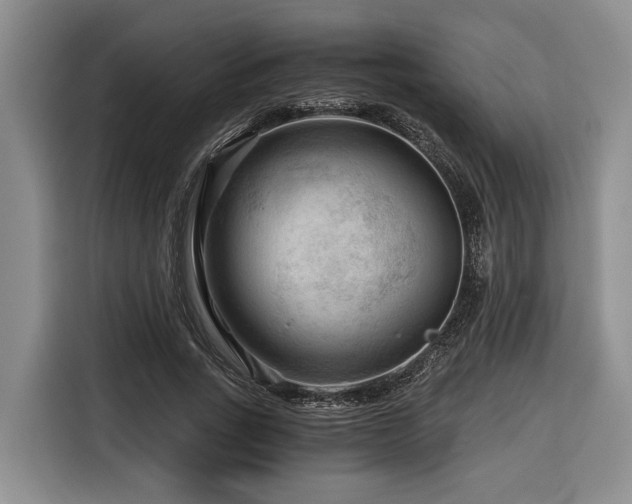 X0000116640735200912141235