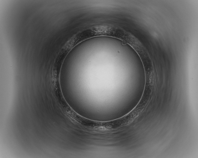 X0000116640737200912141235