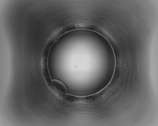 X0000116640738200912141235