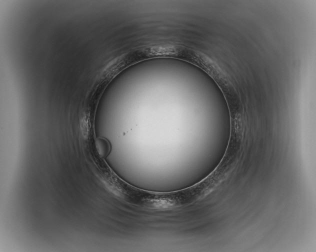 X0000116640741200912141235