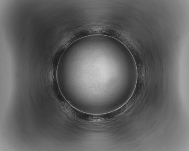 X0000116640746200912141235