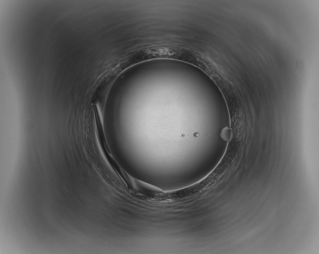 X0000116640747200912141235