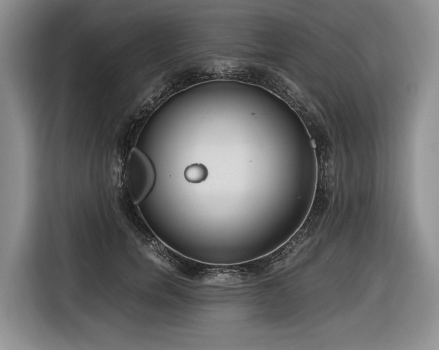 X0000116640750200912141235