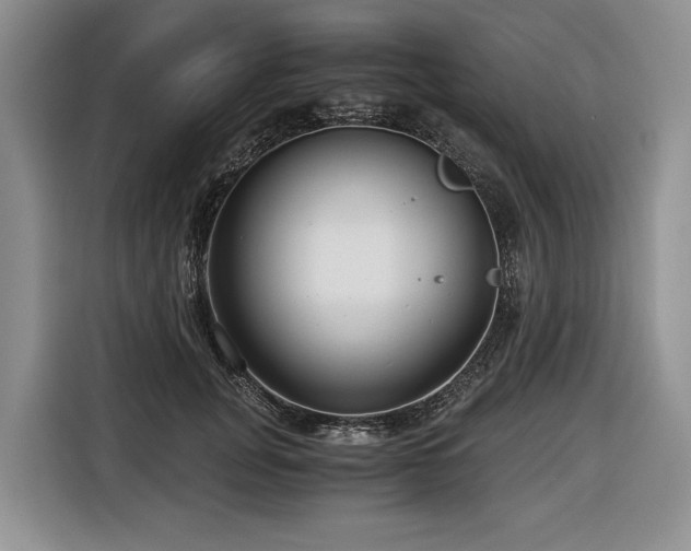 X0000116640751200912141235