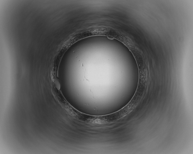 X0000116640755200912141235