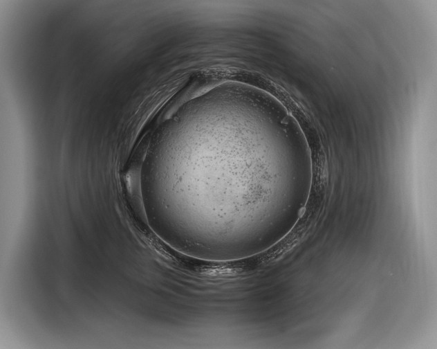 X0000116640759200912141235