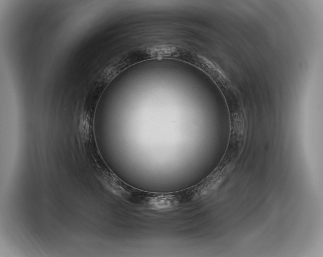 X0000116640761200912141235