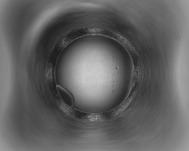 X0000116640762200912141235