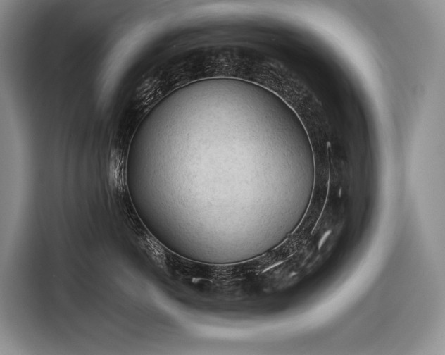 X0000116640766200912141235