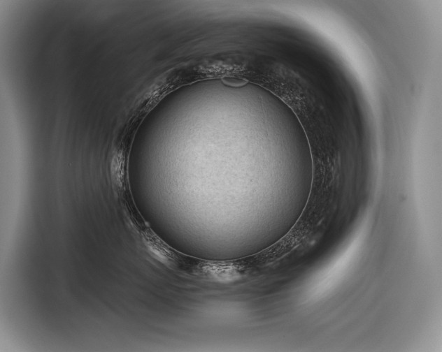 X0000116640767200912141235