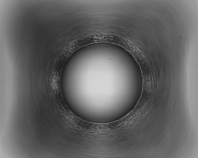 X0000116640770200912141235