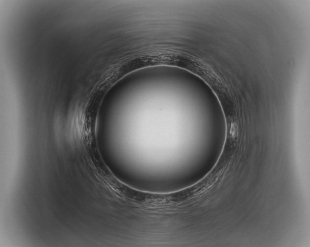 X0000116640771200912141235