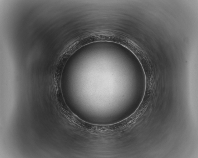 X0000116640774200912141234