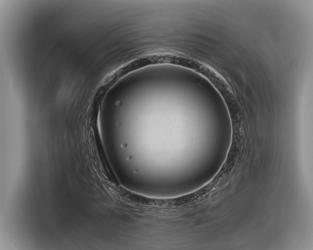 X0000116640775200912141234