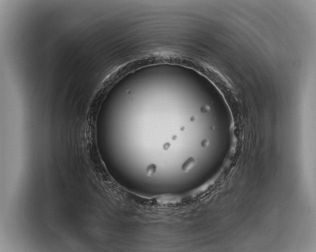 X0000116640776200912141234