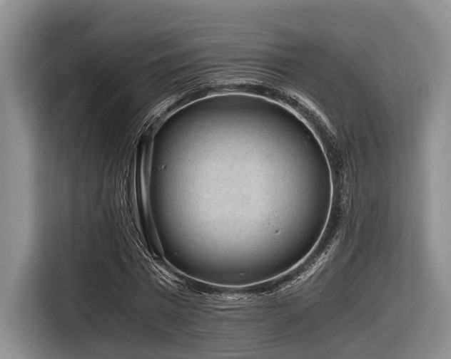 X0000116640777200912141234