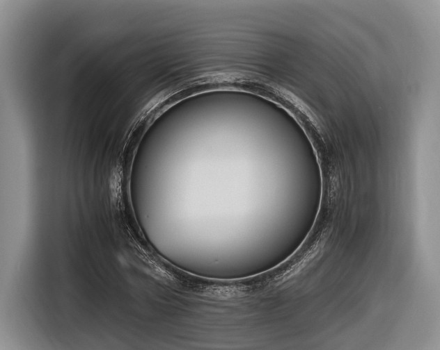 X0000116640778200912141234