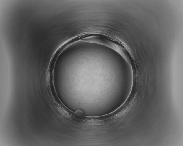 X0000116640779200912141234