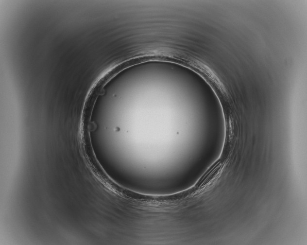 X0000116640780200912141234