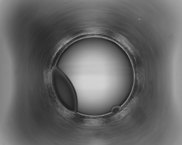 X0000116640781200912141234